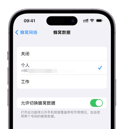 建平苹果维修服务分享如何在iPhone上使用双卡 